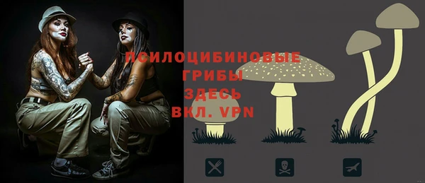 прущие крисы Беломорск