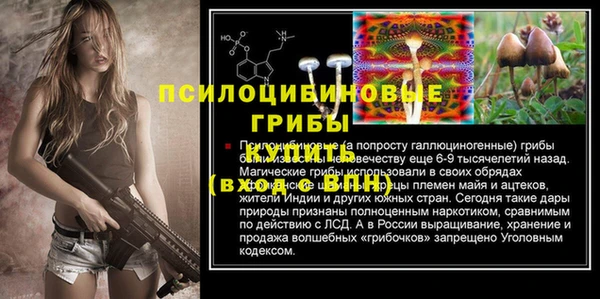 PSILOCYBIN Белокуриха