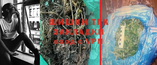 PSILOCYBIN Белокуриха