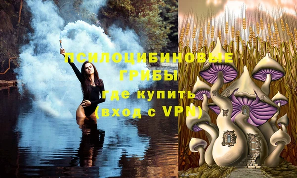 ECSTASY Белоозёрский